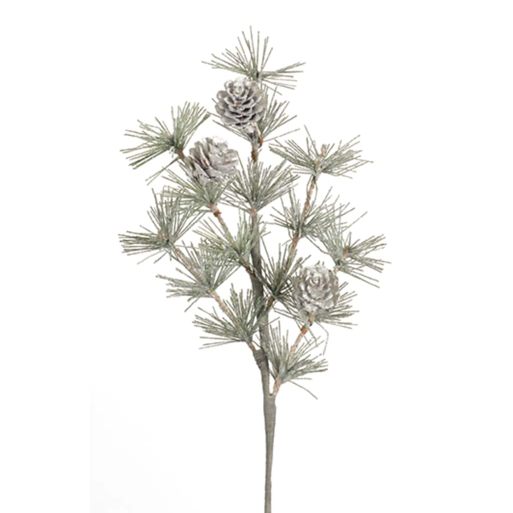 D208329S_1.jpg img